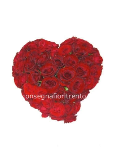 Un petalo di gioia per te.cuore  di rose colore rosso